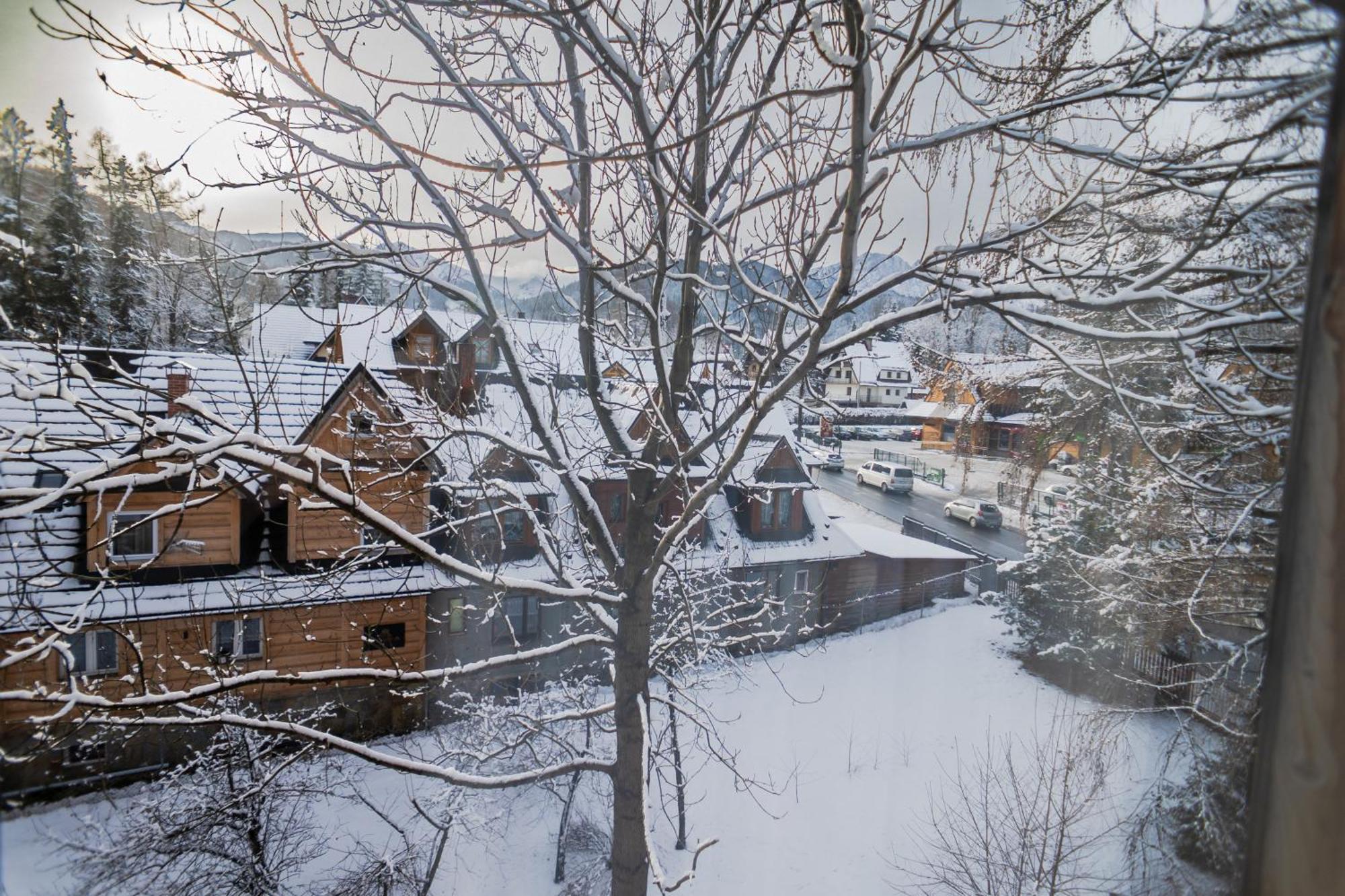 Willa Owca I Baran Zakopane Dış mekan fotoğraf